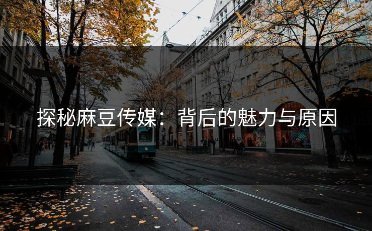 探秘麻豆传媒：背后的魅力与原因  第1张