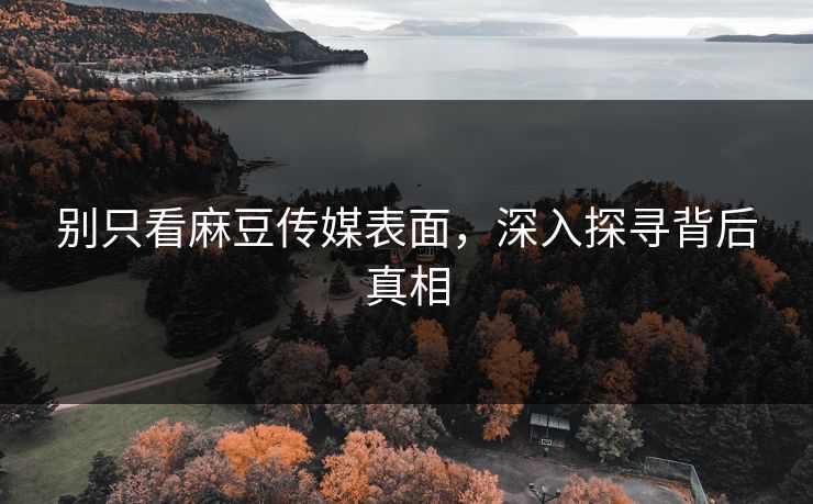 别只看麻豆传媒表面，深入探寻背后真相  第1张