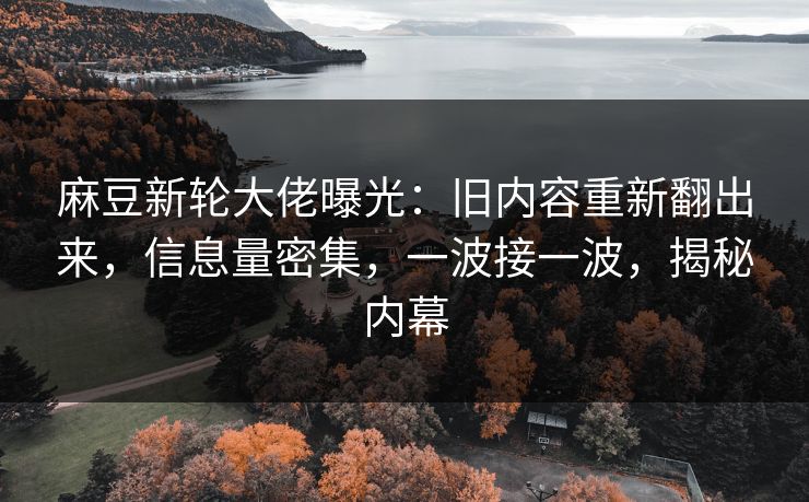 麻豆新轮大佬曝光:旧内容重新翻出来,信息量密集,一波接一波,揭秘内幕 第1张 麻豆新轮大佬曝光:旧内容重新翻出来,信息量密集,一波接一波,揭秘内幕 第1张
