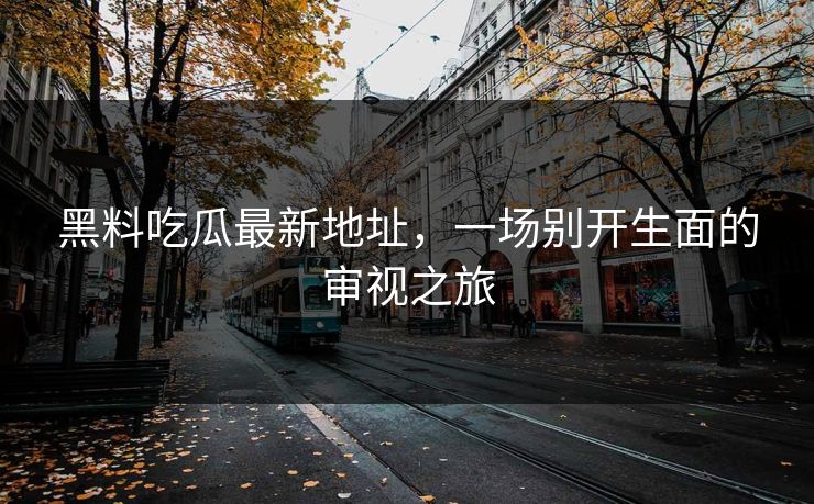 黑料吃瓜最新地址，一场别开生面的审视之旅  第1张