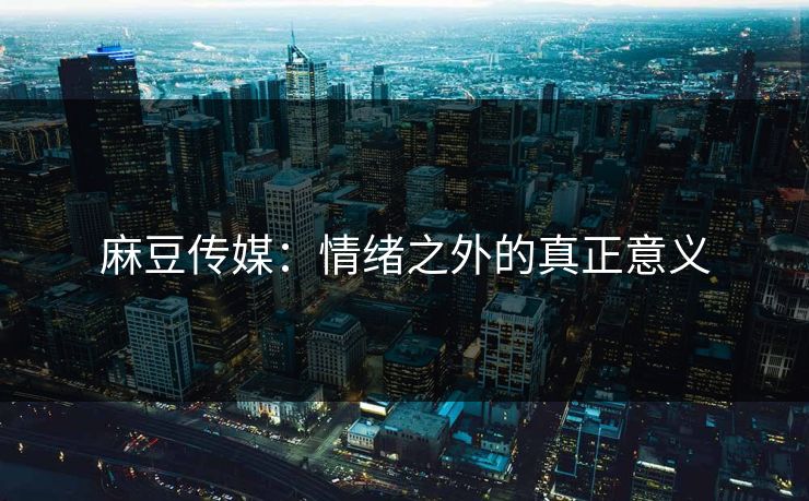 麻豆传媒：情绪之外的真正意义  第1张