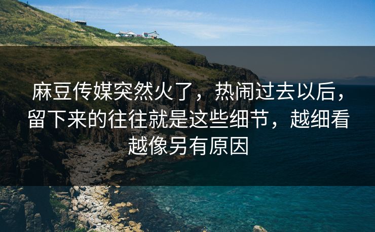 麻豆传媒突然火了，热闹过去以后，留下来的往往就是这些细节，越细看越像另有原因  第1张
